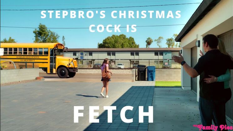 Passionate Christmas Sex - Stepbrother Gets Blowjob